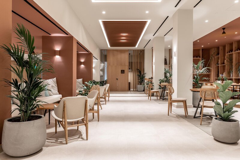 Domes Aulus Zante, Autograph Collection 70