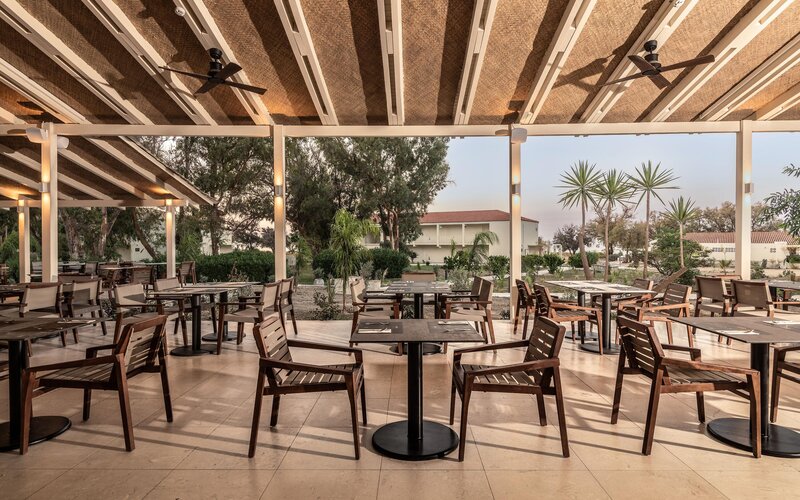 Domes Aulus Zante, Autograph Collection 74