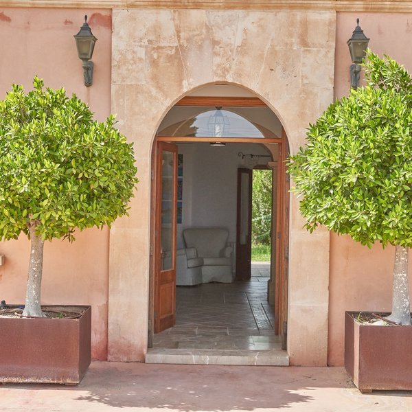 Ayurvila Wellness Resort 19