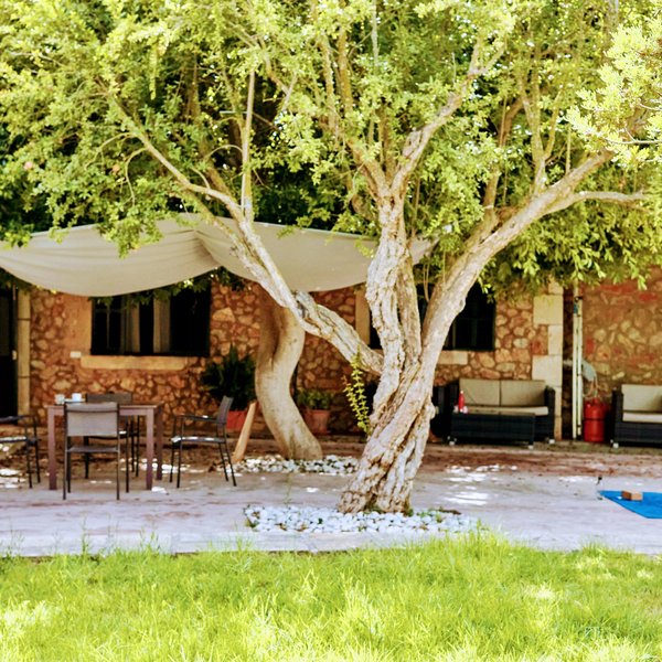 Ayurvila Wellness Resort 23