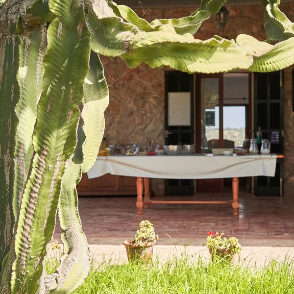 Ayurvila Wellness Resort 24