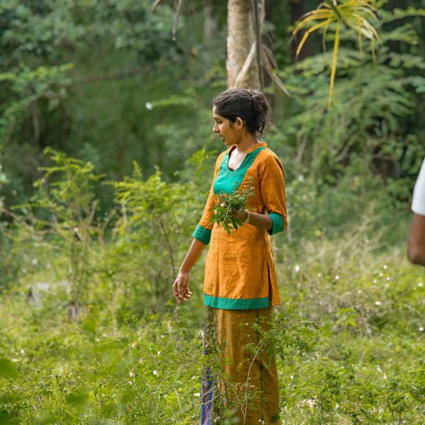 Kur Resort Lanka Am See 13