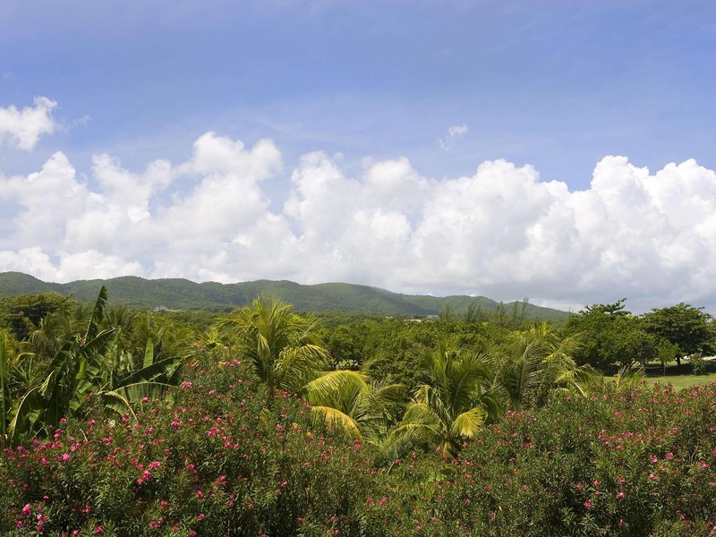 Dreams Rose Hall Resort & Spa 10
