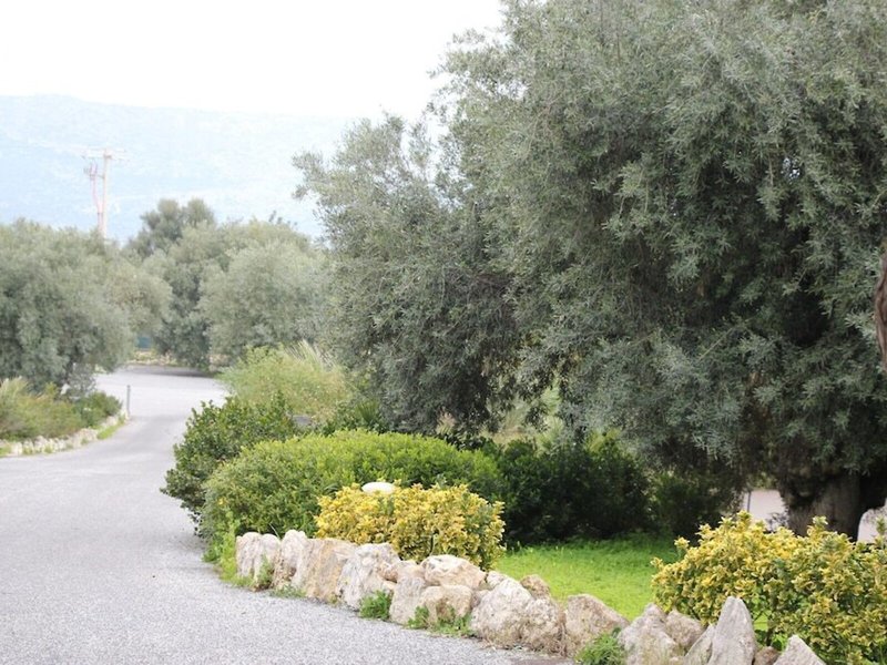 Zaiera Resort 5