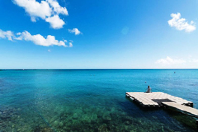 Hibiscus Boutique Hotel 7
