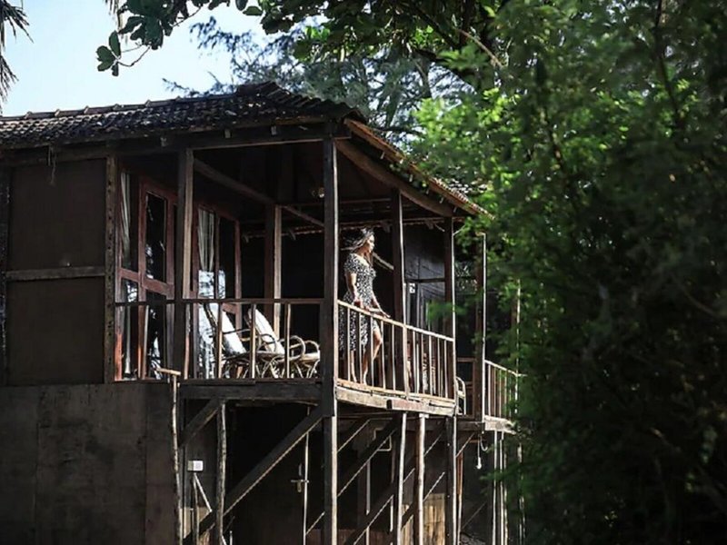 Woodpegger by The Beach 1