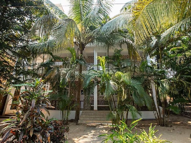 Woodpegger by The Beach 2