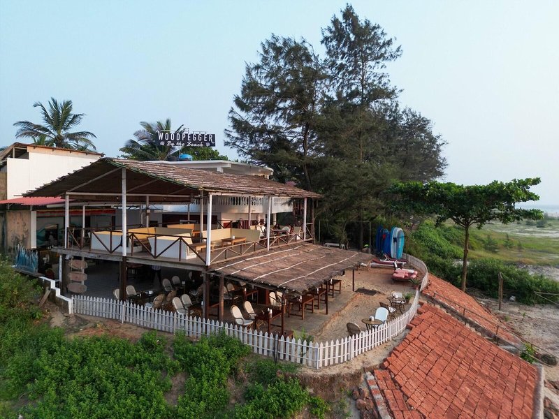 Woodpegger by The Beach 4