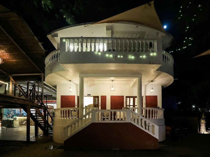 Woodpegger by The Beach 5