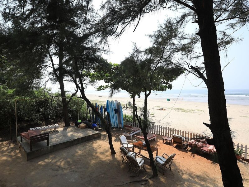 Woodpegger by The Beach 6