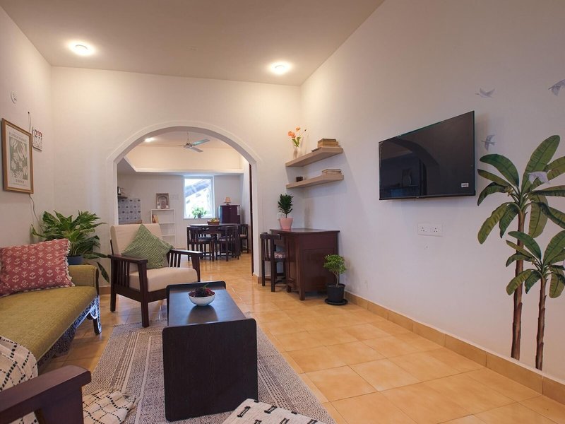 Woodpegger by The Beach 8