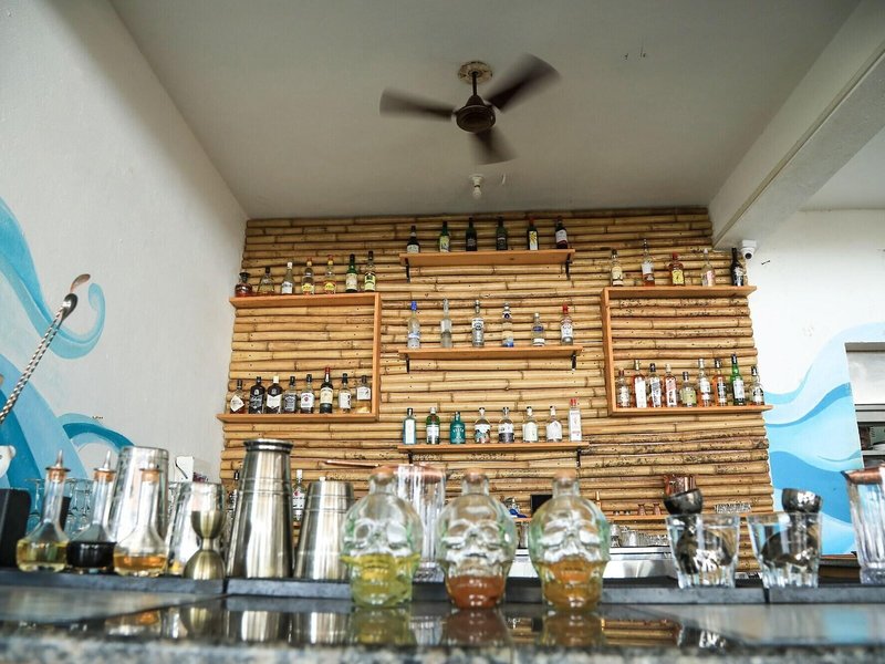 Woodpegger by The Beach 12