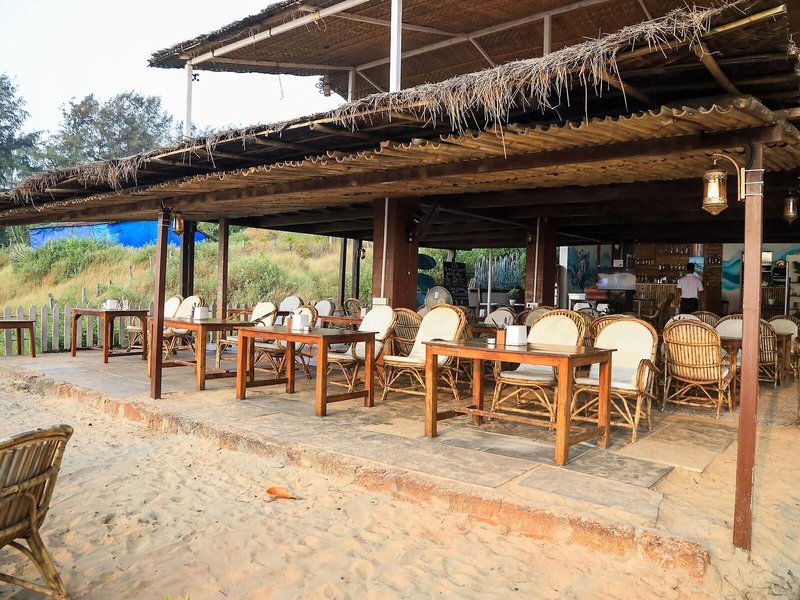 Woodpegger by The Beach 15