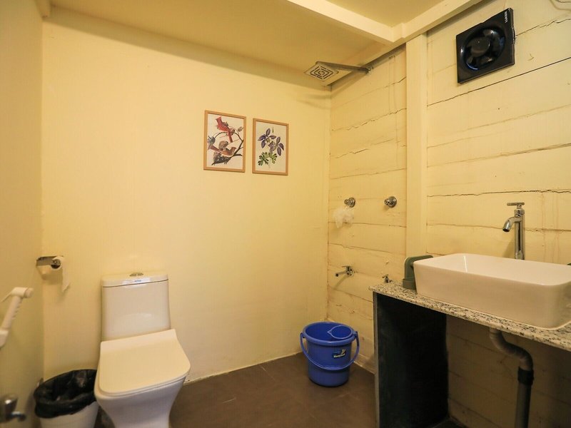 Woodpegger by The Beach 35