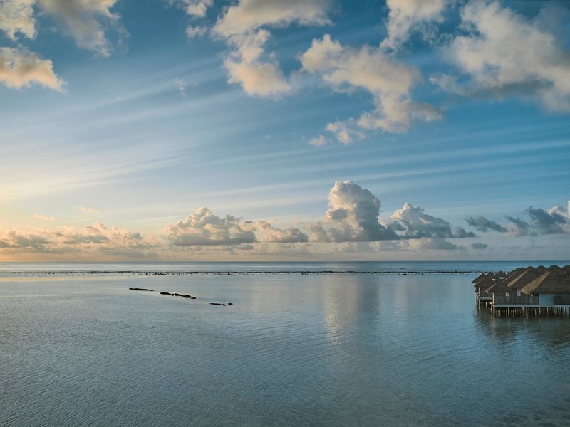 COMO Maalifushi, Maldives 8