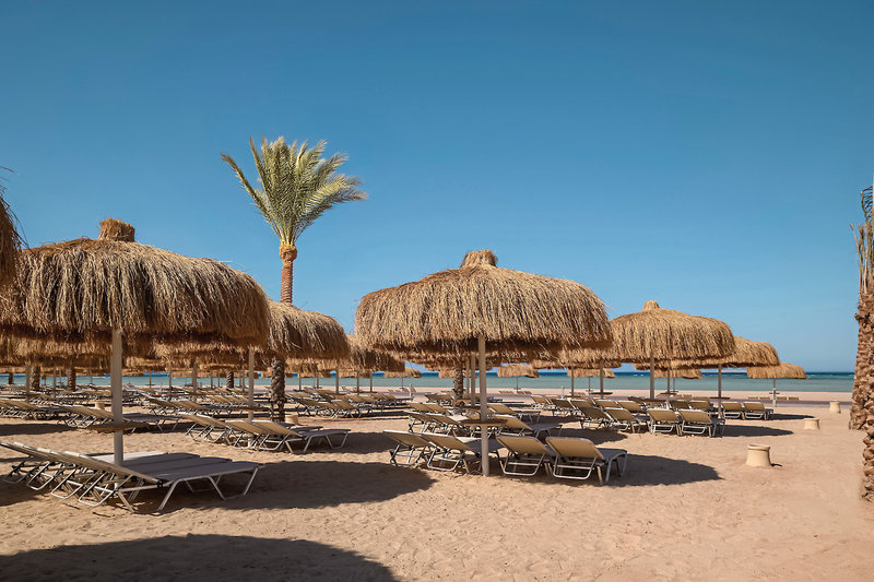Jaz Asteria Beach 50
