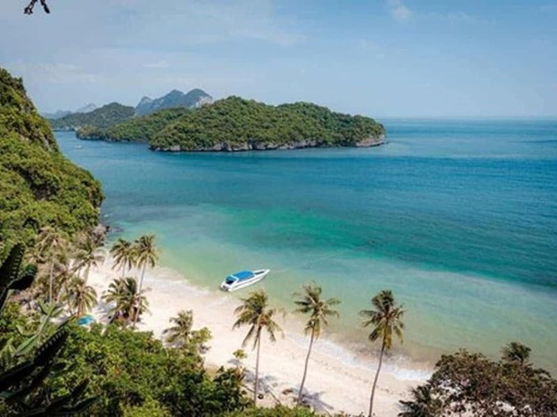 Vannee Golden Sands 12