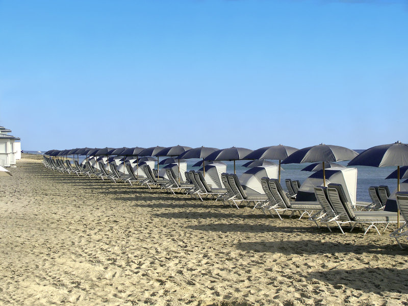 Fontainebleau 8