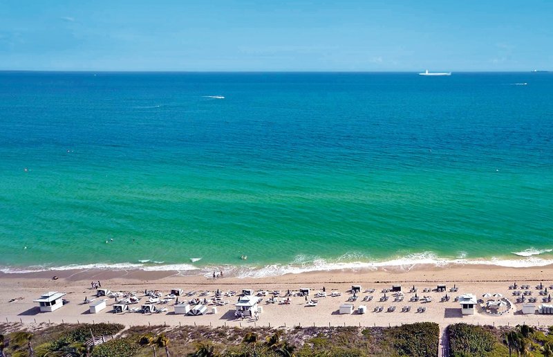 Fontainebleau 11