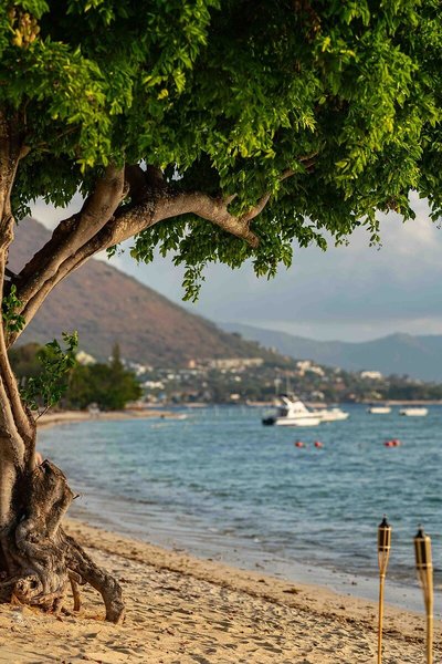 Hilton Mauritius Resort & Spa 8