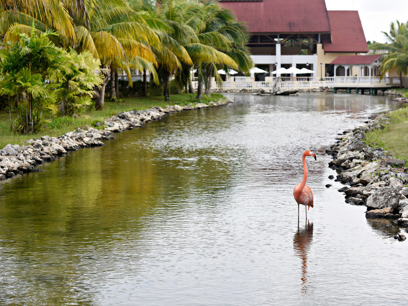 Memories Caribe Beach Resort 2