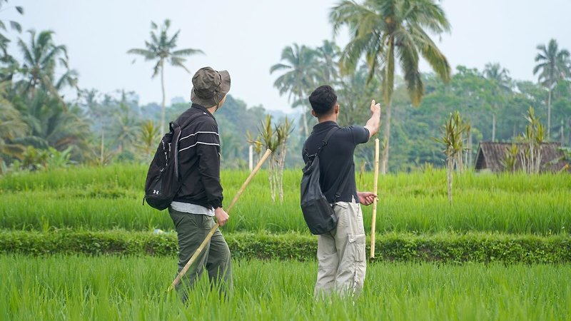 Cicada Resort Bali Ubud, Autograph Collection 20