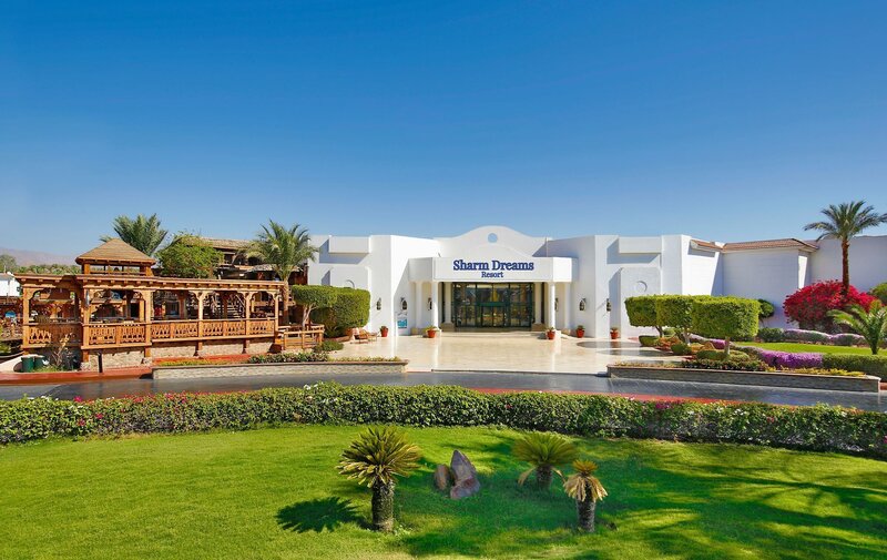 JAZ Sharm Dreams 8