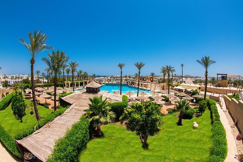 JAZ Sharm Dreams 13