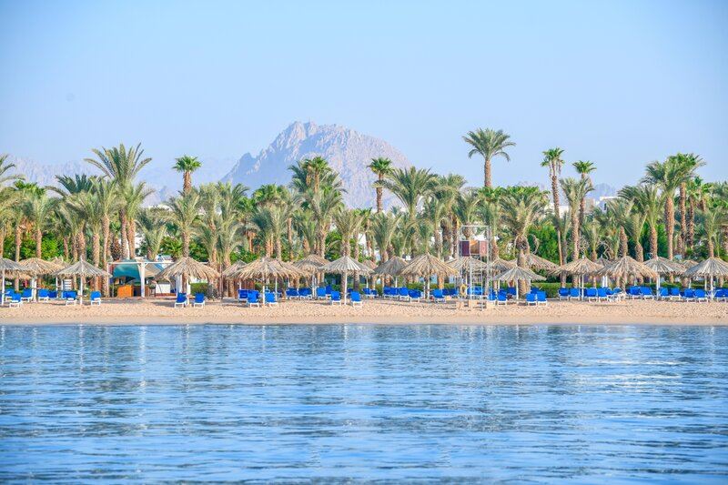 JAZ Sharm Dreams 16