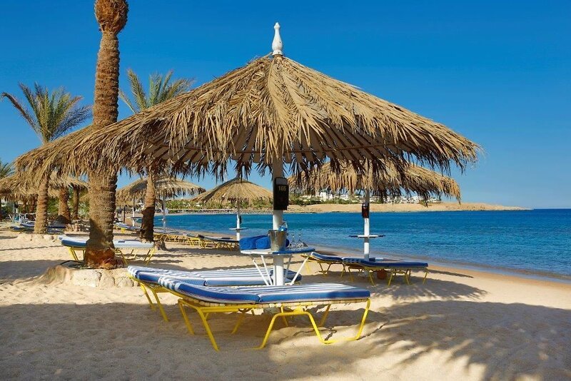 JAZ Sharm Dreams 17