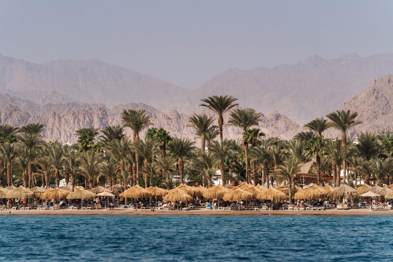 JAZ Sharm Dreams 42