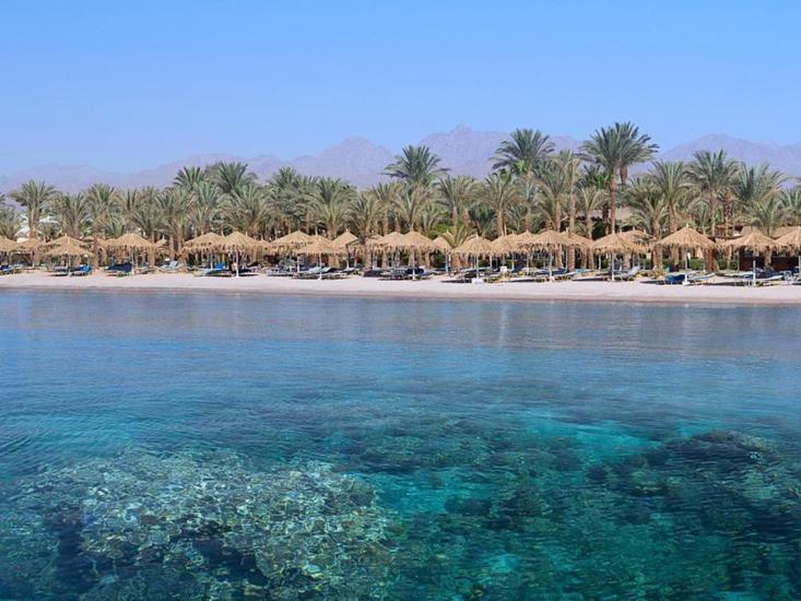 Sharm Dreams Resort  3