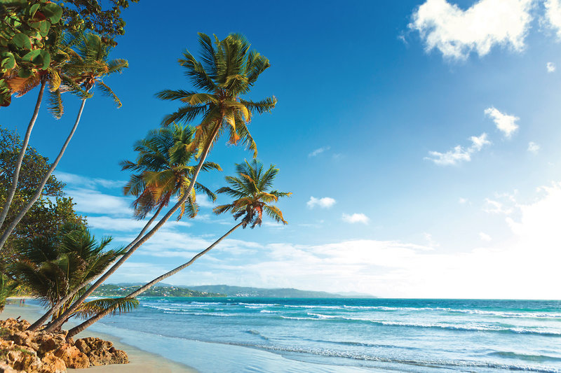 Magdalena Grand Beach & Golf Resort 15