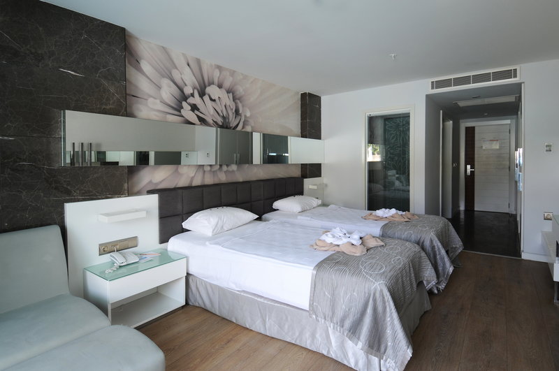 Gold Island Mondo 12