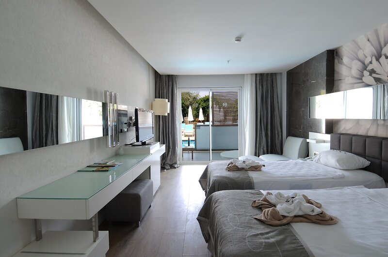 Gold Island Mondo 15