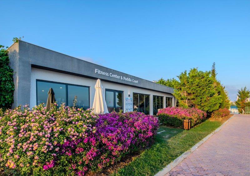 Gold Island Selected 27