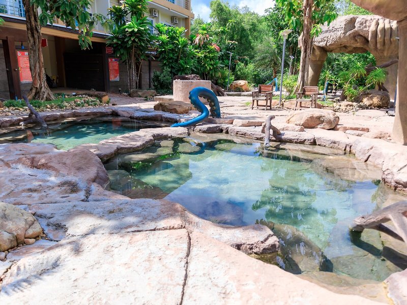 Saline Hot Spring Resort 11