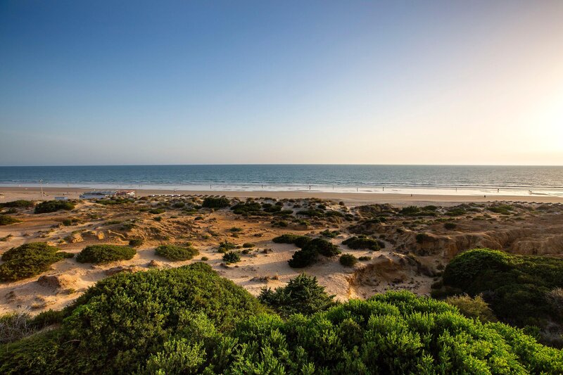 Hipotels Barrosa Palace & Spa 29