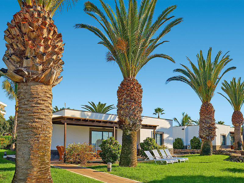 TUI BLUE Natura Palace 11