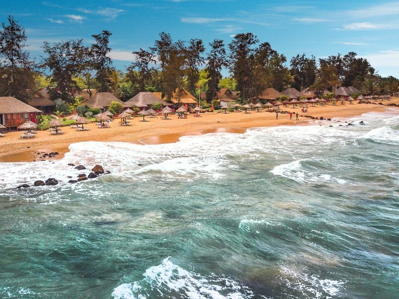 Royal Horizons Baobab 2