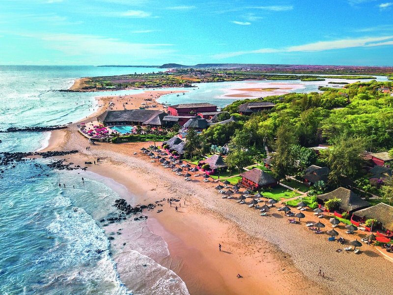 Royal Horizons Baobab 3