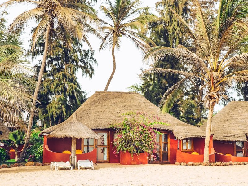 Royal Horizons Baobab 11