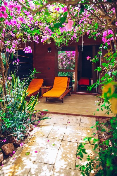 Royal Horizons Baobab 12