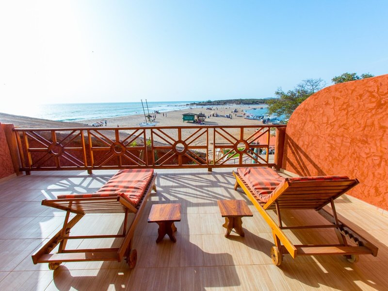 Royal Horizons Baobab 16