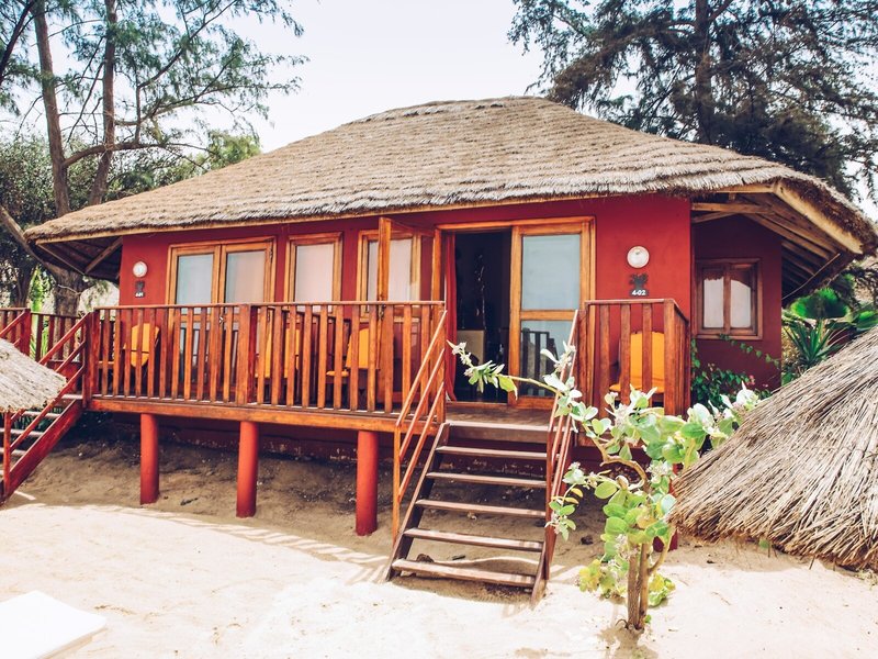 Royal Horizons Baobab 24