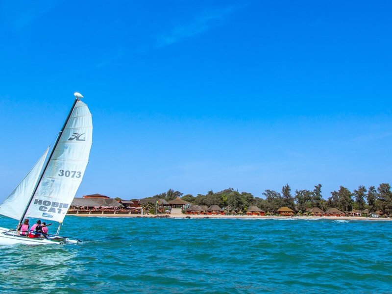 Royal Horizons Baobab 26