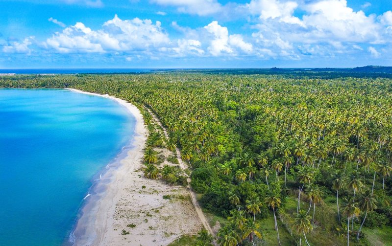 Viva Miches by Wyndham 7