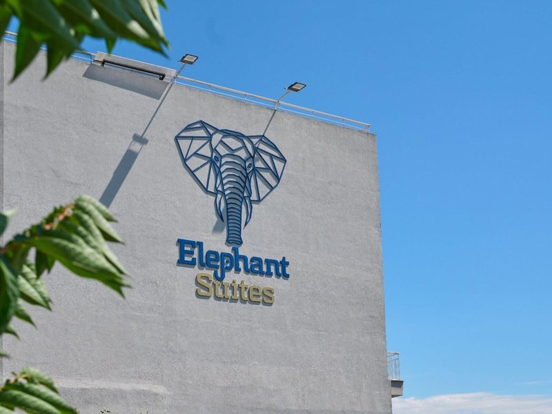 Elephant Suites 1