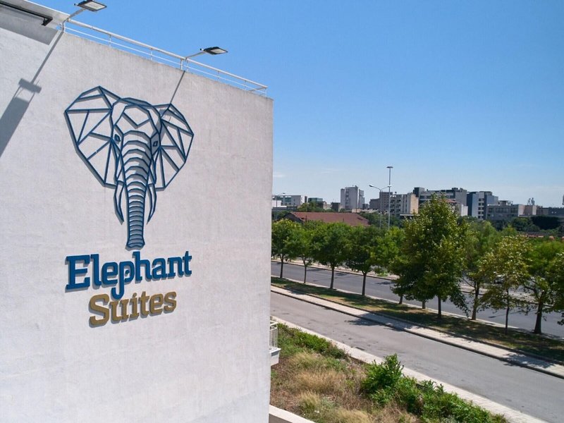 Elephant Suites 2