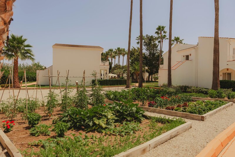 Garden Saladina 128